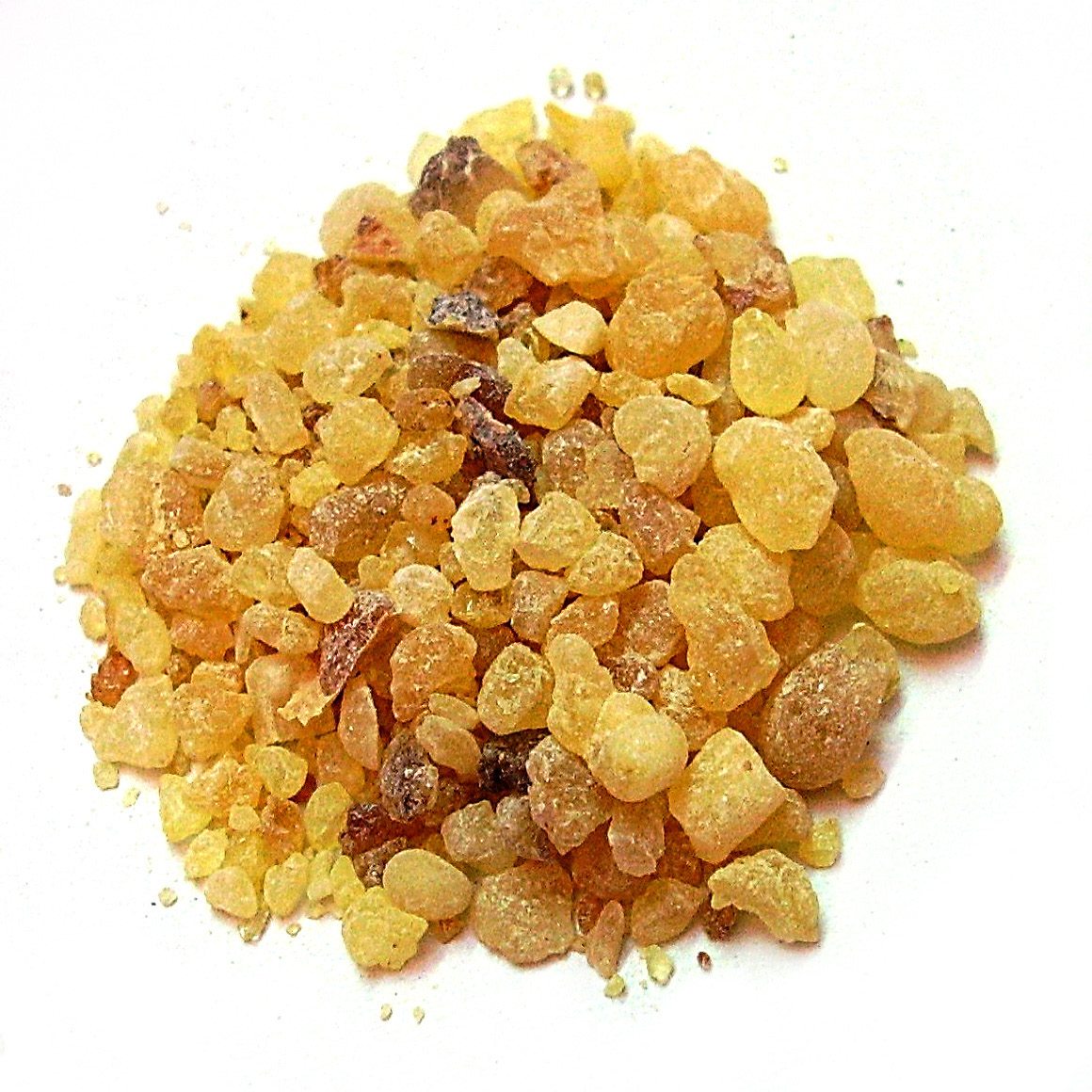 Boswellia carterii Boswellia carterii